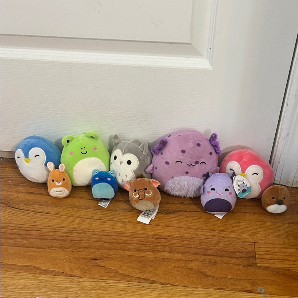 Assorted Squishmallow Set